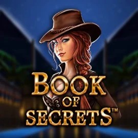 Try Book of Secrets slot by SYNOT Games on vulkan-vegascasino.eu – logo image