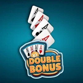 Double Double Bonus game by Red Rake Gaming – logo hosted on Vulkan Vegas Casino