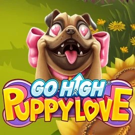 Go High Puppy Love game by RubyPlay – logo hosted on Vulkan Vegas Casino